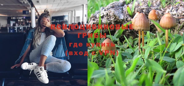 mix Алексин