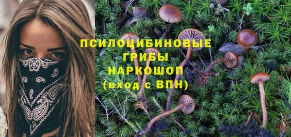 мяу мяу мука Алзамай