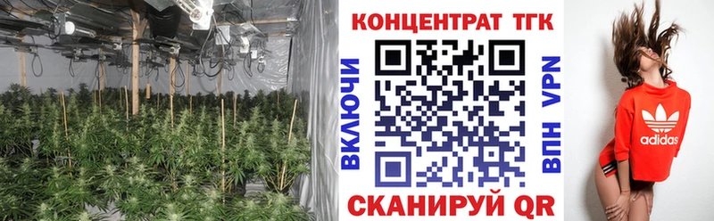 ТГК концентрат  где купить наркотик  даркнет состав  Михайловск 